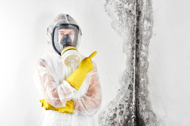 Best Forensic Mold Investigation  in Ontario, CA